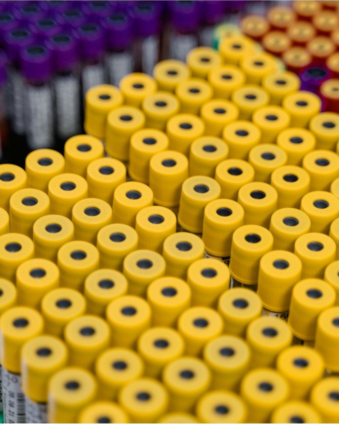 High-throughput sequencing instrument used for clinical viral lineage reporting
